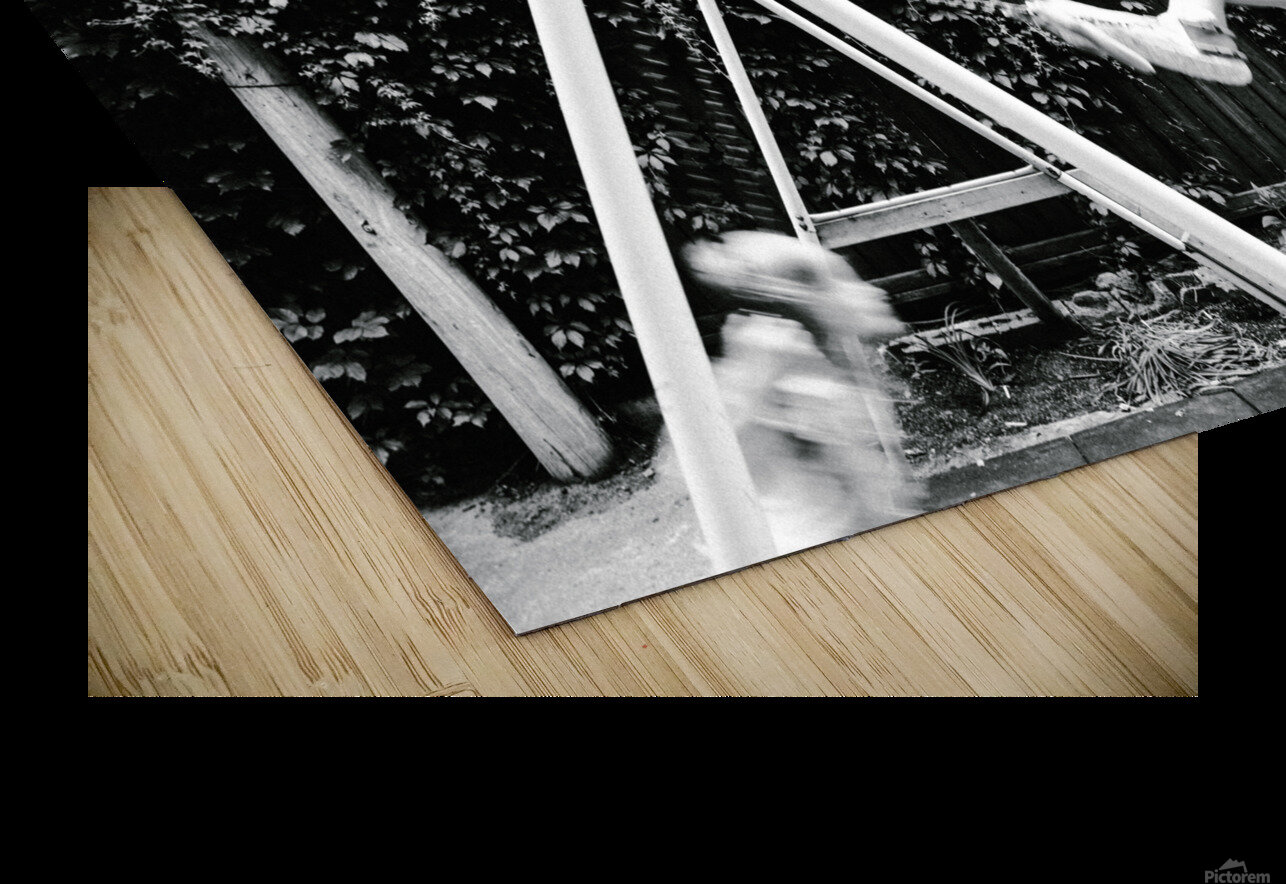 Ruelles de Montreal - Ete Sara Teinturier   Photographie Puzzle