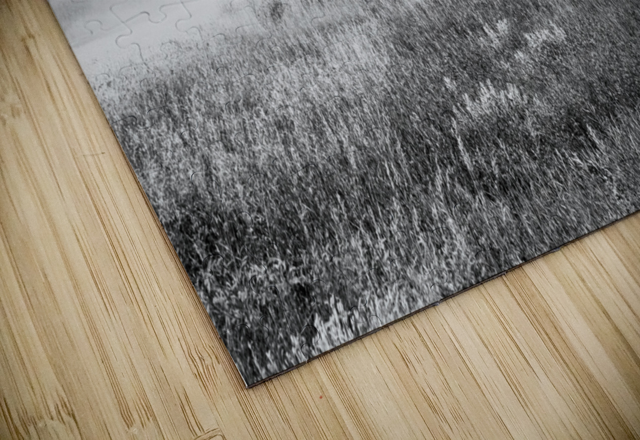 Sur la route Saskatchewan Sara Teinturier   Photographie Puzzle