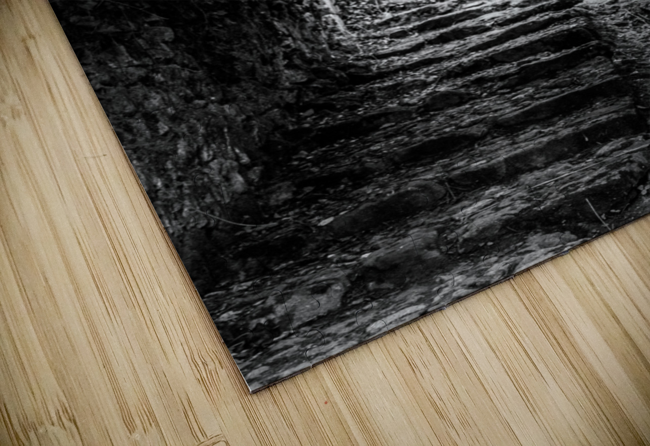 Venelle Sara Teinturier   Photographie Puzzle