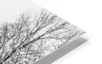 Leglise sous la neige HD Metal print