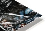 Dans la neige de Montreal HD Metal print