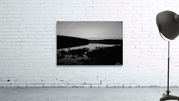 Harrie Lake Labrador by Sara Teinturier   Photographie