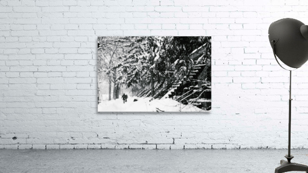 Dans la neige de Montreal by Sara Teinturier   Photographie